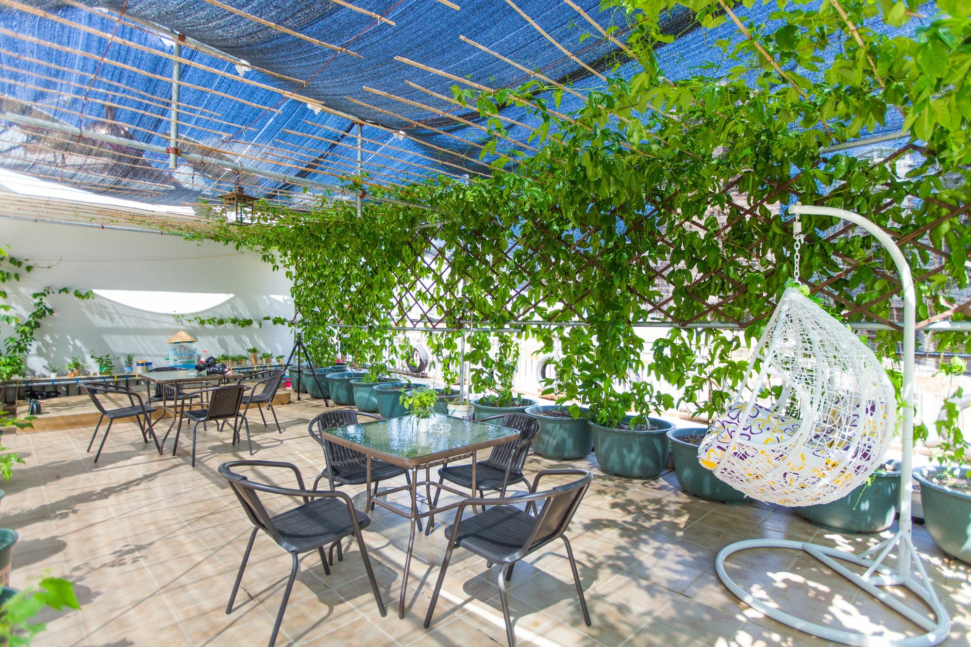 Sanya Passion Fruit Inn Extérieur photo